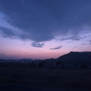 Meet your Posher, Daisy